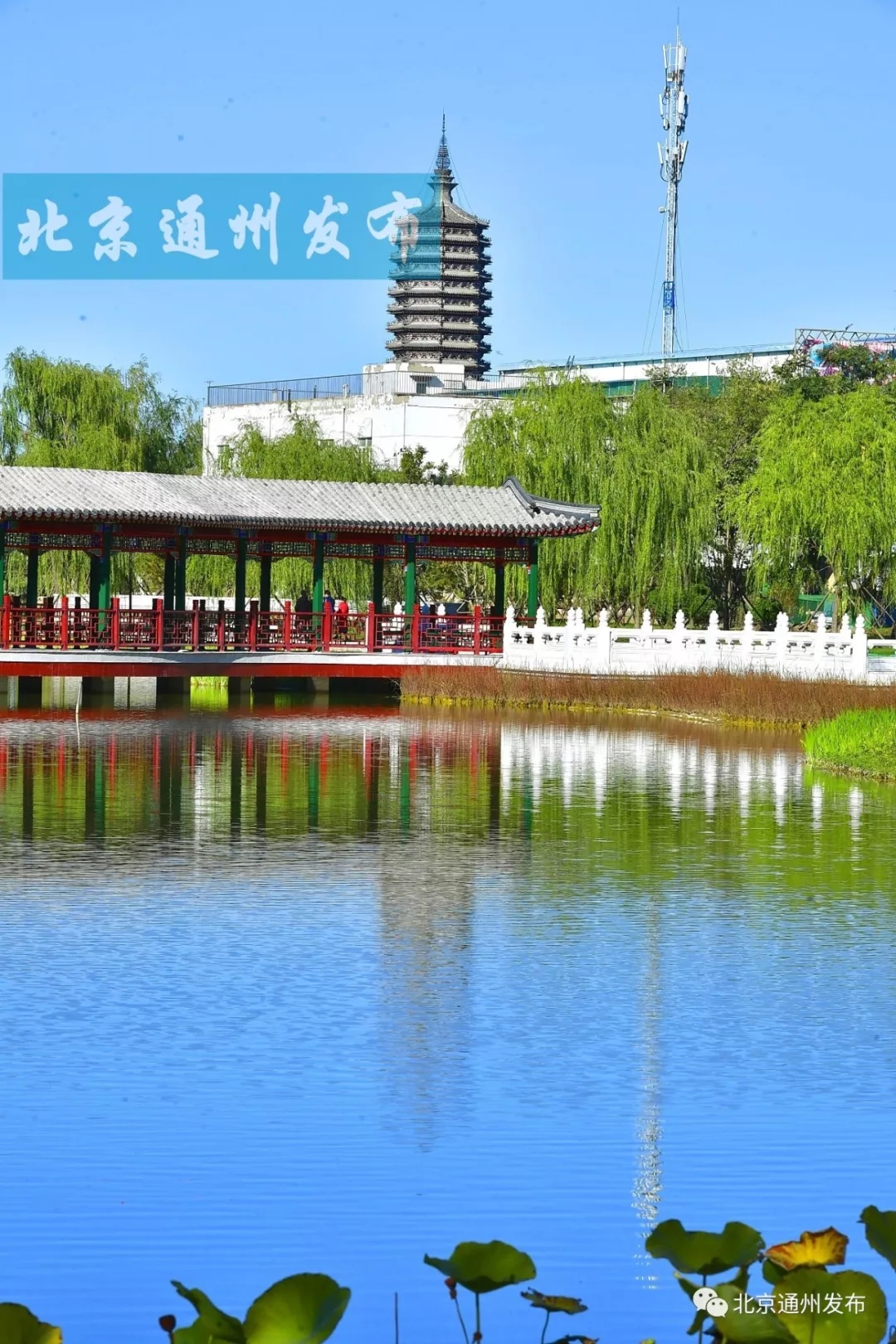【北京的南郊7摄影图片】新发地海子公园和高鑫公园风光摄影_太平洋电脑网摄影部落