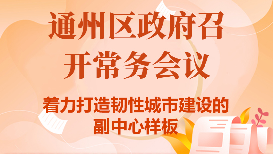 会议解读：区政府召开常务会议 着力打造韧性城市建设的副中心样板