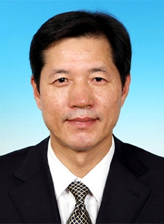 金文岭