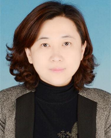 魏欣 宋庄镇党委副书记,镇长